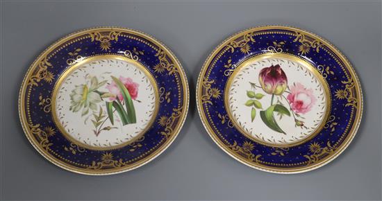 A pair of Derby style plates